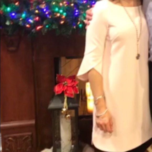 Light pink shift dress with bell sleeves - Picture 3 of 3